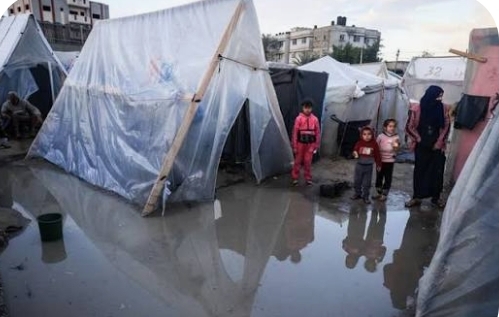 الصليب الأحمر الألماني: أوضاع الإمدادات في غزة خلال الشتاء مروعة