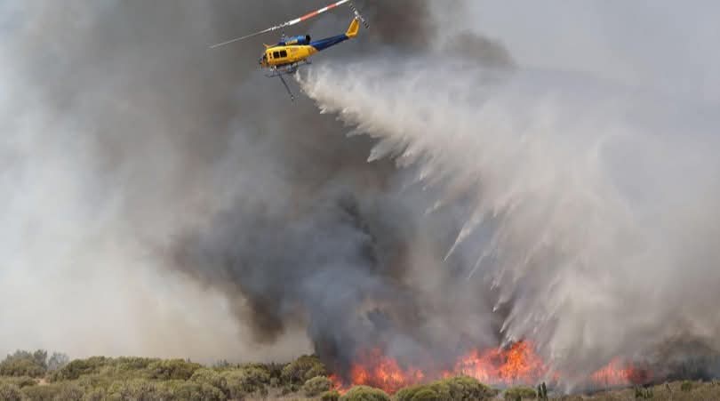 أستراليا تعلن حالة الكارثة جراء حرائق غابات واسعة