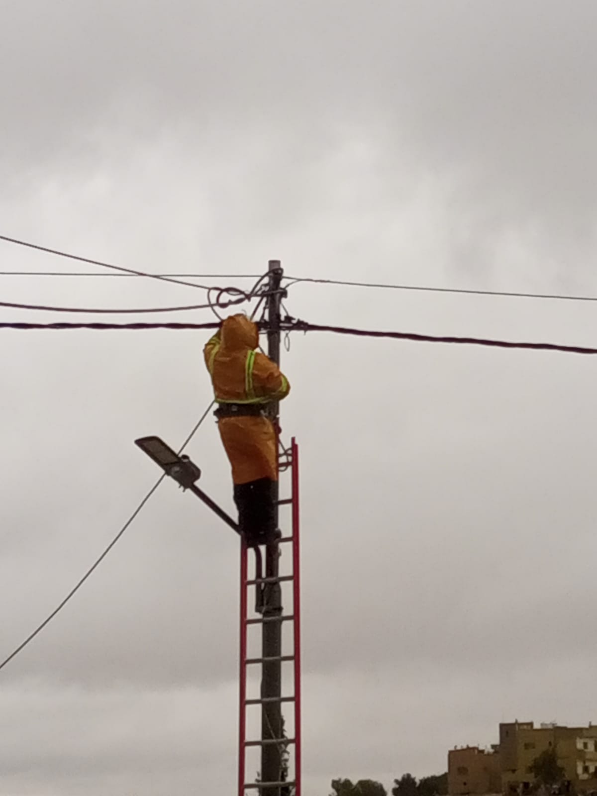 تحية فخر إلى سواعد مادبا السمراء