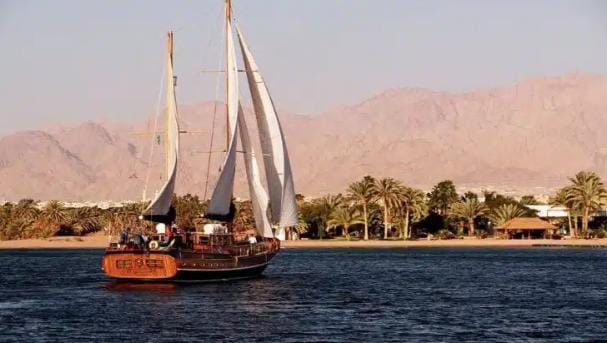 خلال العام الماضي… ارتفاع الدخل السياحي بنسبة 7.6