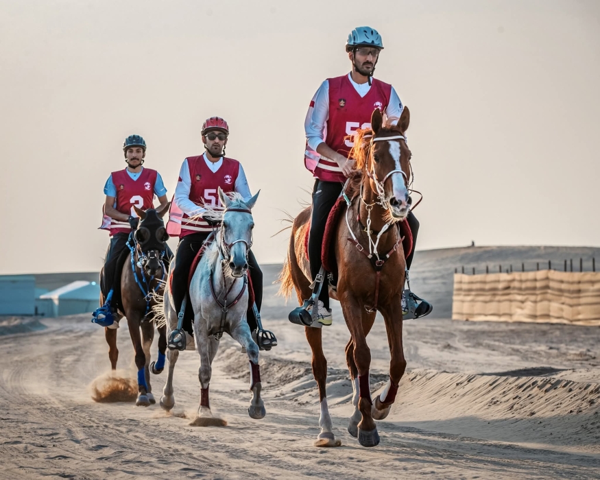 نادي سباقات القدرة والتحمل ينظم سباق كأس الوذنة الدولي الجمعة والسبت المقبلين