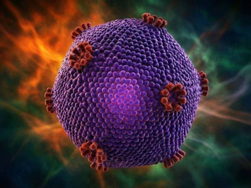 إصابة 100 طالب في مدرسة بجنوب الصين بفيروس نورو