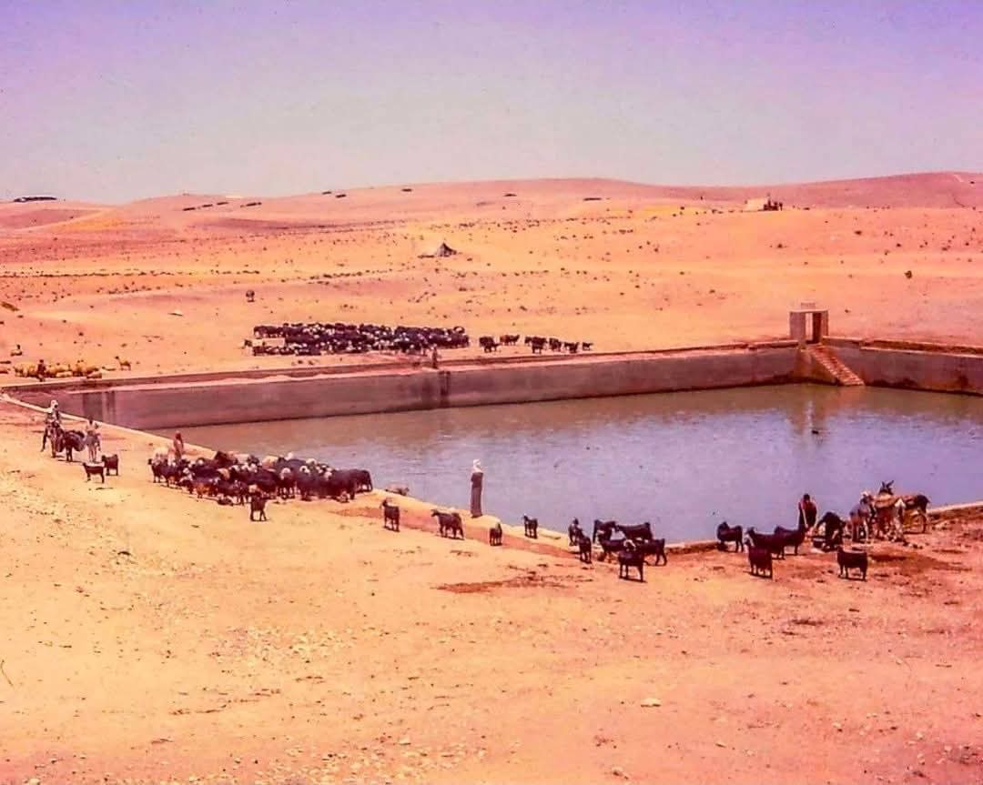 بركة الموقر الأثرية… شاهد تاريخي على حقبة البناء بين عام 1953