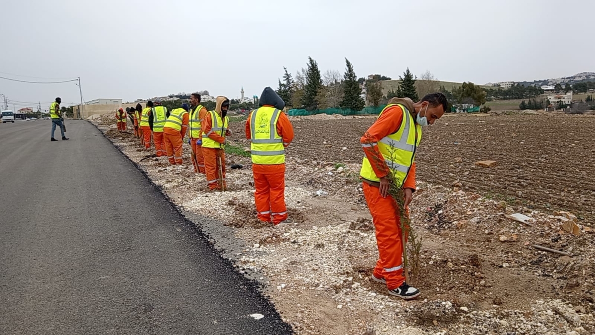 بلدية السلط الكبرى تشارك في الحملة الوطنية للتشجير بزراعة آلاف الأشجار...صور