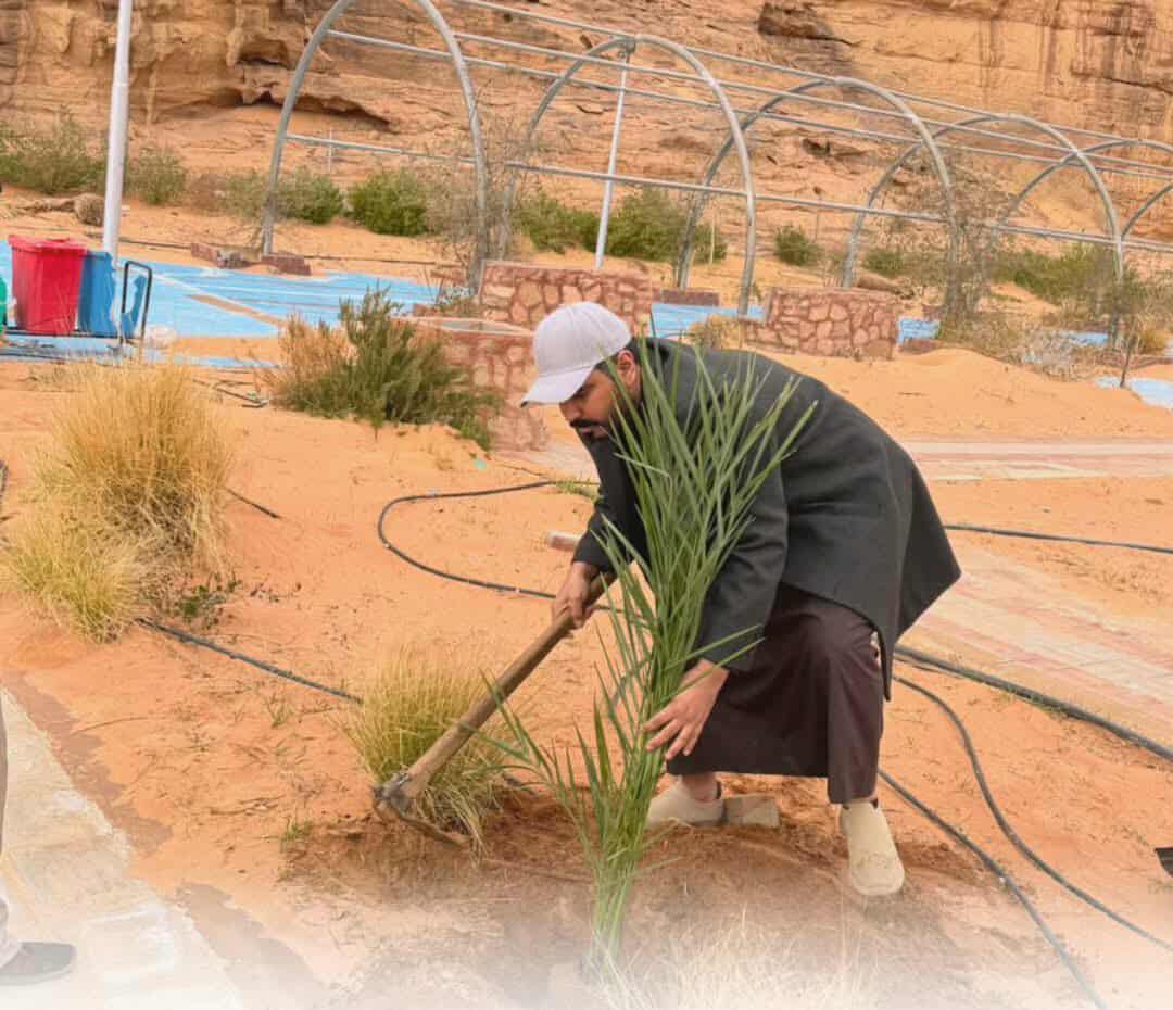 بلدية حوض الديسة تنفّذ أعمال تشجير ضمن الحملة الوطنية لعام 2026...صور