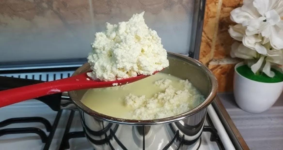 موسم «الحثيمة» يبلغ ذروته في الأردن خلال أشهر الشتاء