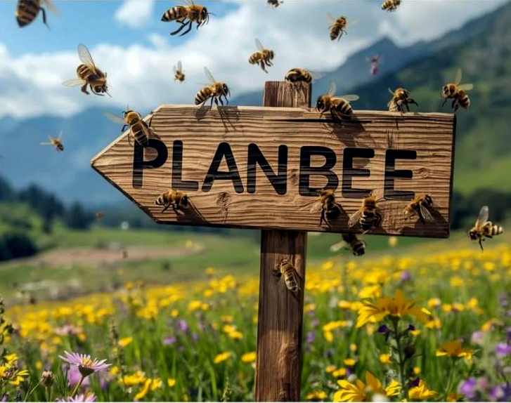 فتح باب التسجيل في مؤتمر تعزيز اقتصاد النحل المستدام في الأردن