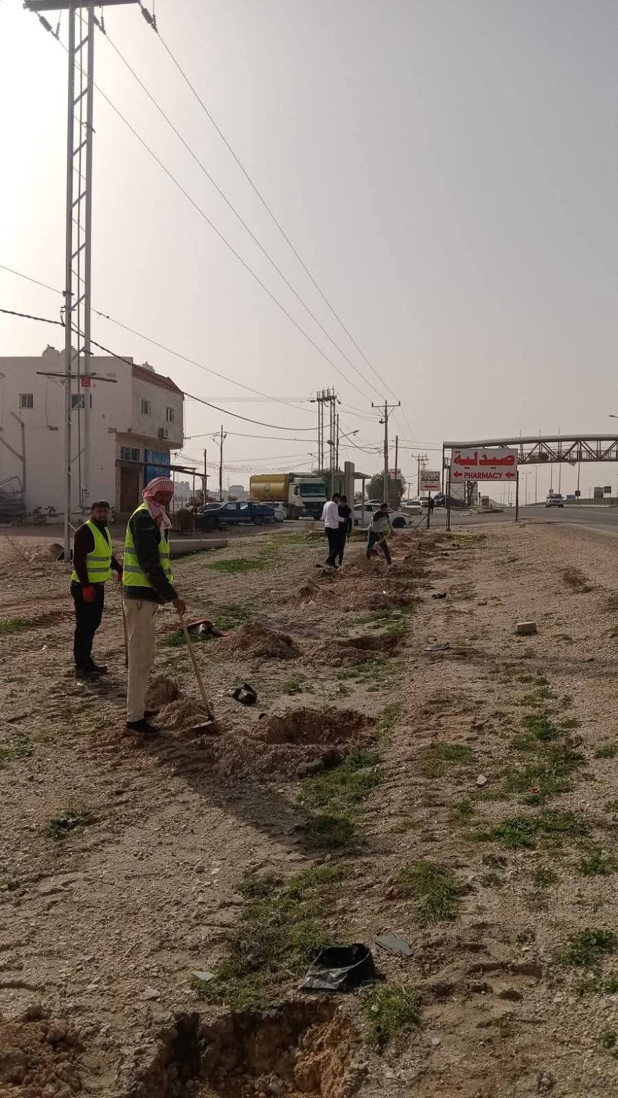 بلدية العامرية تواصل زراعة الأشجار الحرجية ضمن خطة التشجير الوطنية..صور