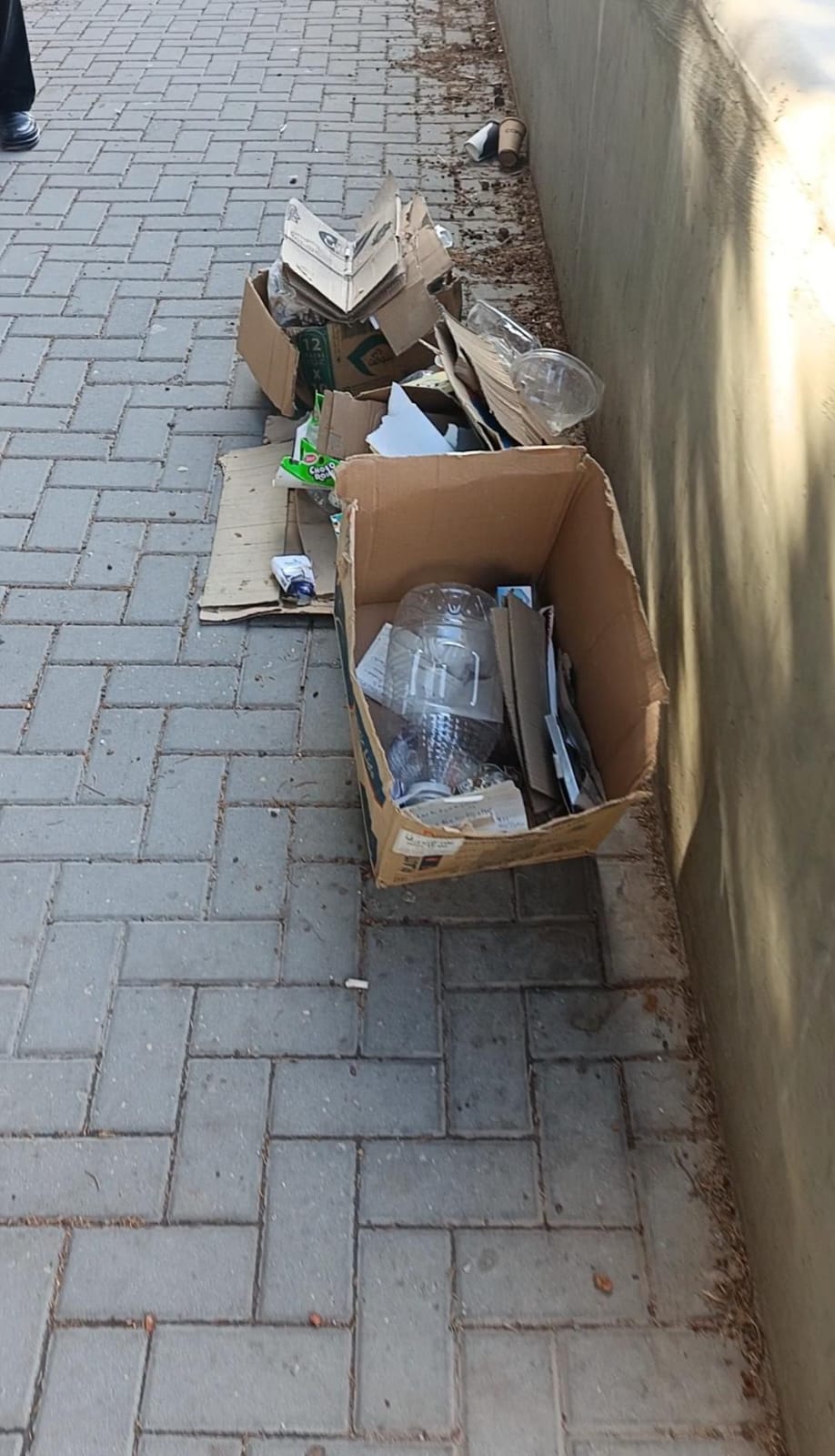 شكاوى من تراكم النفايات في ممر المشاة المحاذي لسور الجامعة الأردنية...صور وفيديو