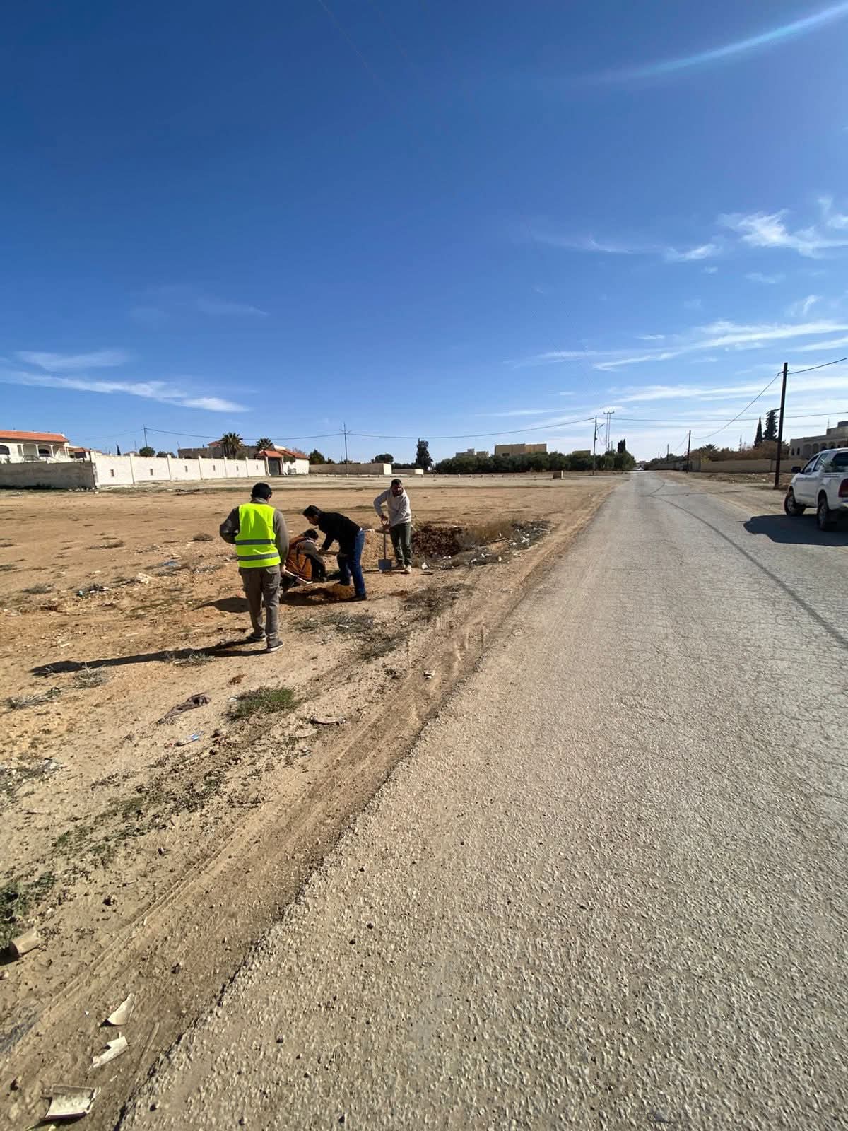 زراعة أشجار في مدخل الفيصليّة وطريق درب الحاج بلواء الموقر ....صور