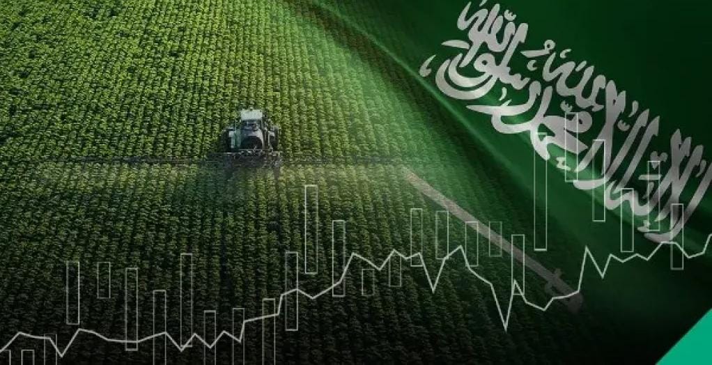 السعودية تصدم المزارعين بقرار مدوي.. ما التفاصيل؟