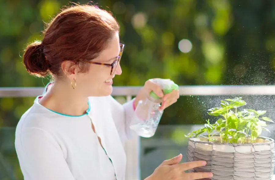 قرار أسعد سيدات مصر .. تفاصيل رواتب شهرية وتأمين صحي لربات البيوت