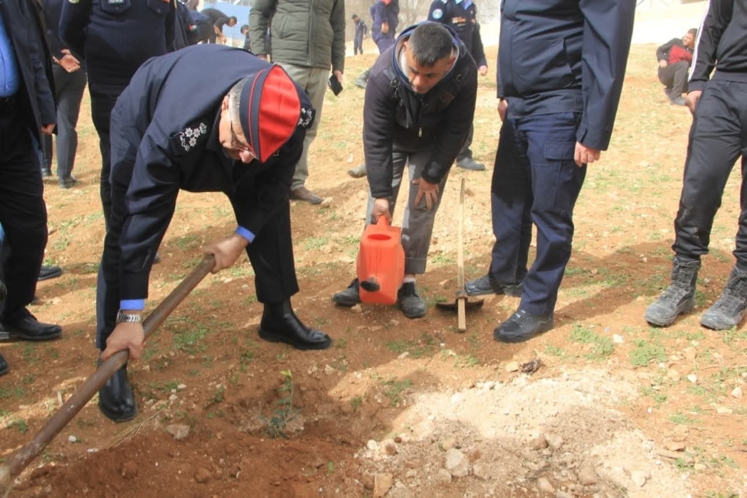 مديرية شرطة الزرقاء تحتفل بعيد الشجرة بزراعة أشجار الزيتون والحرجية...صور