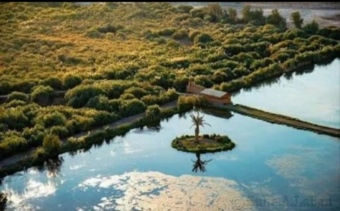 الأراضي الرطبة.. خط الدفاع الأول في مواجهة التغير المناخي