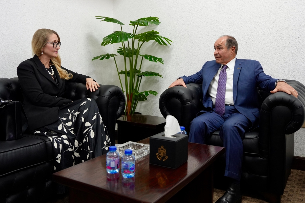 رئيس لجنة الشؤون العربية والدولية في مجلس الأعيان يلتقي السفيرة التشيكية