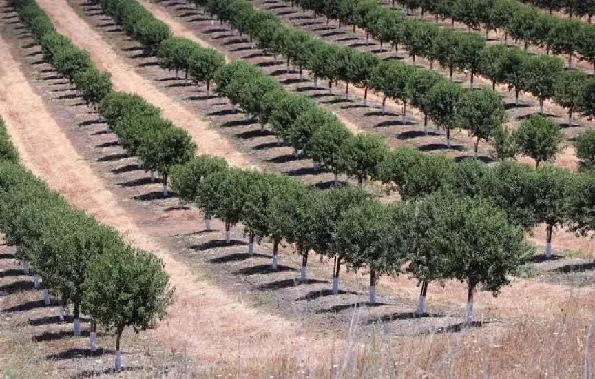 خطر يجتاح أوروبا والسبب صادم