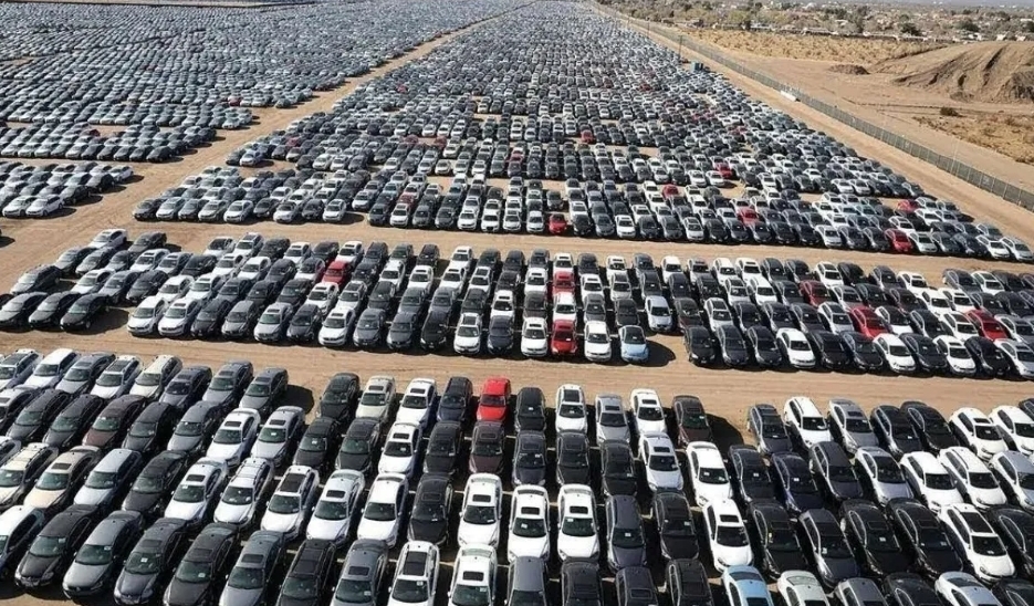 الأردن..معارض في (الحرة) تخل بشروط الكفالة