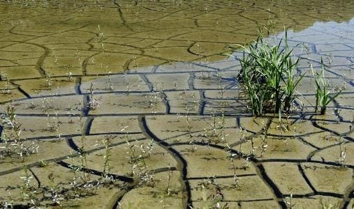 خبير : دول على طريق الزوال بسبب تغير المناخ