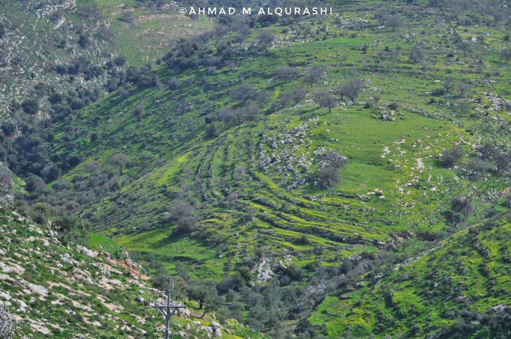 بلدة أوصرة… الجمال الذي لم تُنصفه العدسات