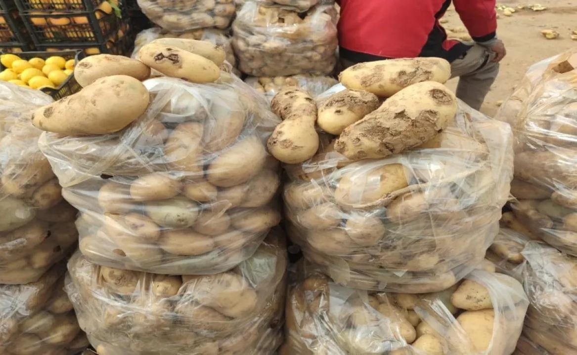 إتلاف 7 أطنان من البطاطا في السوق المركزي في إربد