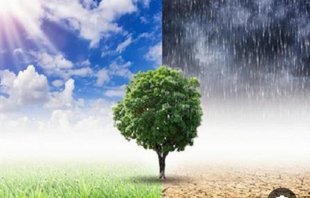 تقلبات حرارية تؤثر على أجواء الأردن السبت