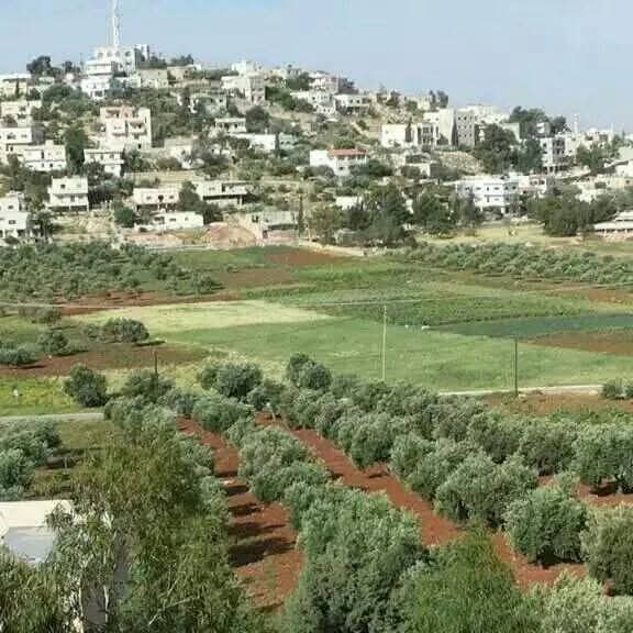 قرية عيرا قصة وفاء على مدار السنين لاجل جارتها فلسطين