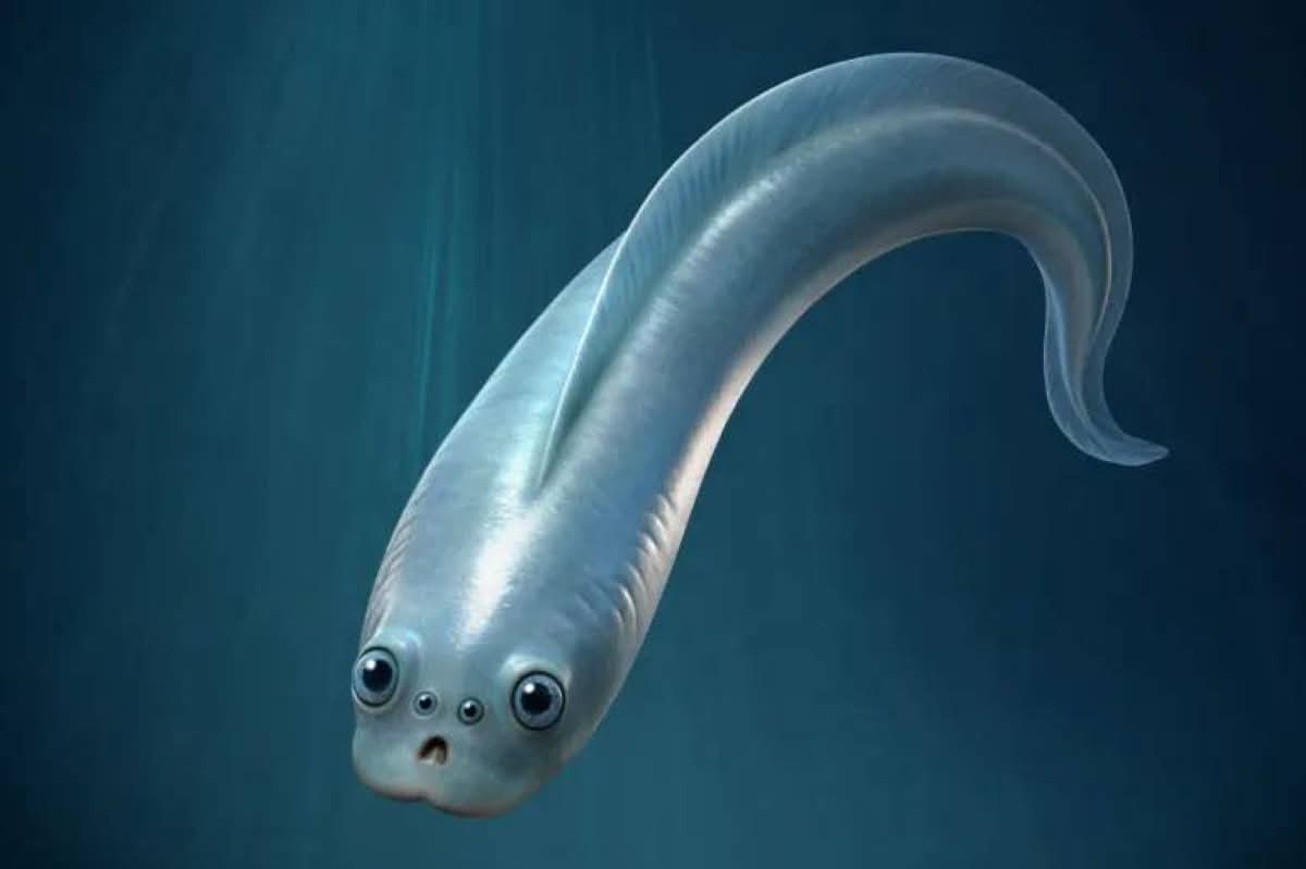 اكتشاف نادر.. سمكة بـ 4 عيون تذهل العلماء