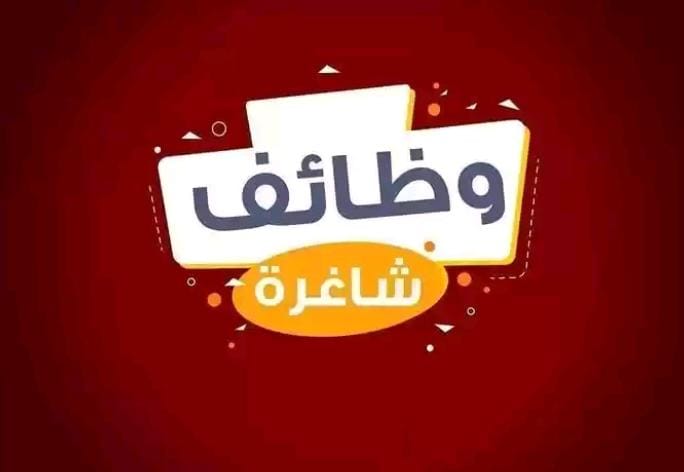وظائف حكومية شاغرة .. تفاصيل