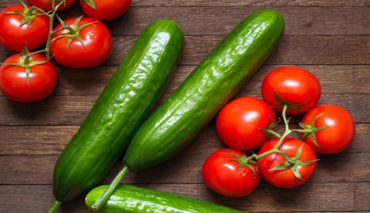 وزارة الزراعة تعلق تصدير البندورة والخيار برا لمدة 10 أيام