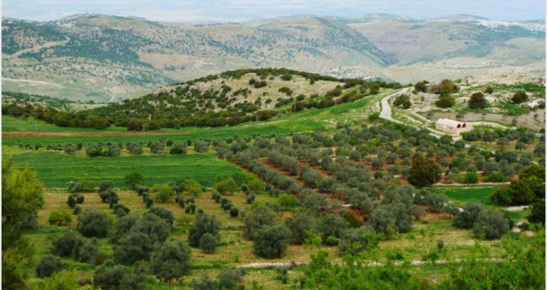 إجراءات للاستثمار في حوضي الحماد والسرحان