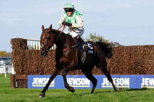 وفاة حصان بعد مشاركته في سباق الكأس الذهبية