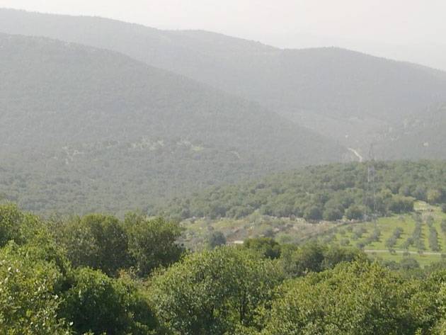 زراعة الكورة تطلق حزمة توصيات وإرشادات للمزارعين والنحالين