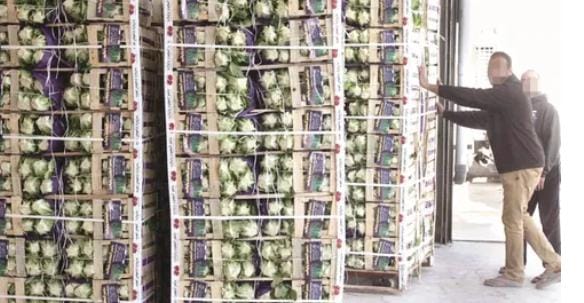 وادي الأردن.. ارتفاع أجور الشحن والأسمدة ضربة قاصمة للقطاع الزراعي