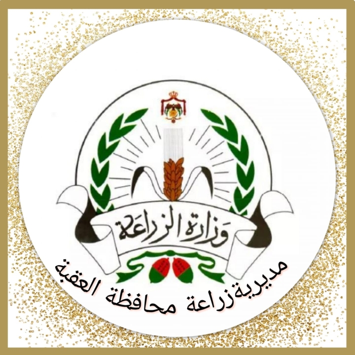 زراعة العقبة تدعو لاتخاذ الاحتياطات مع توقعات بأمطار غزيرة