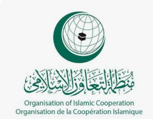 ترحيب عربي بقرار مجلس حقوق الإنسان بإدانة الاعتداءات الإيرانية