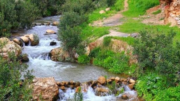 عجلون تقترب من معدلها المطري السنوي بنسبة 92 وتفاؤل بموسم زراعي واعد