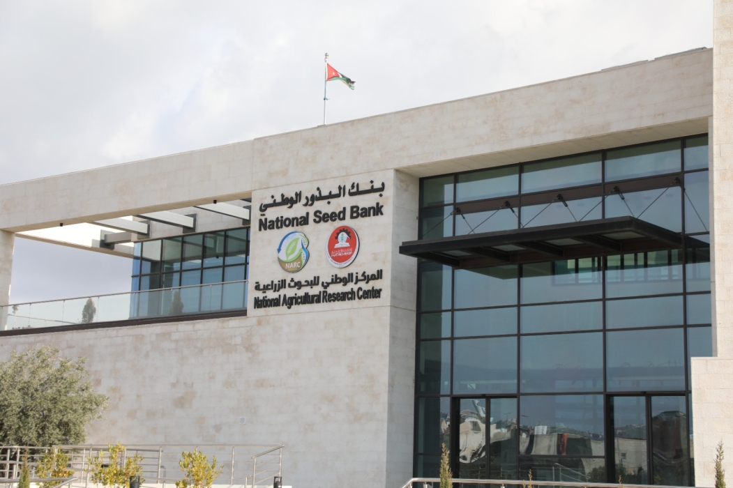 بنك البذور الوطني… ركيزة الأمن الغذائي والسيادة الزراعية في الأردن