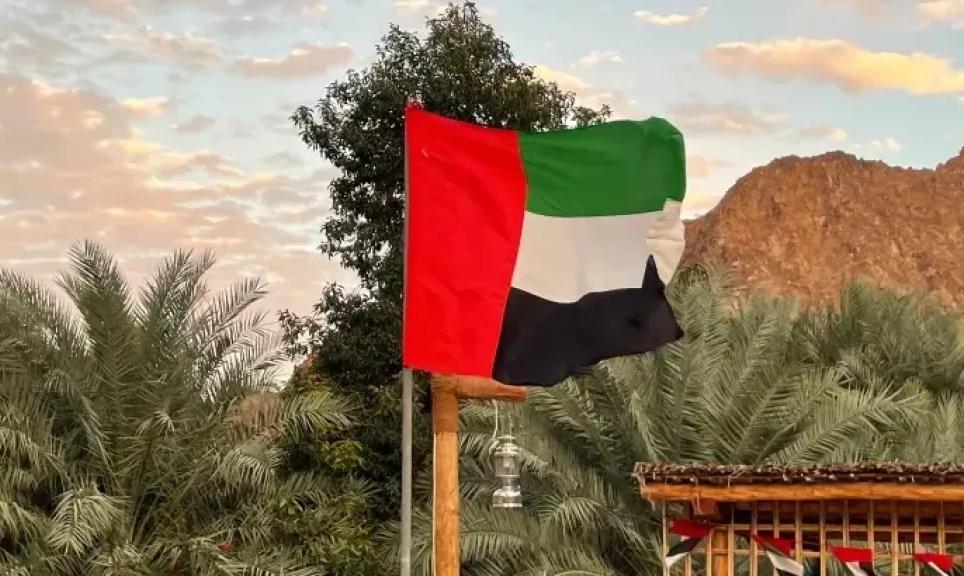 هجمات إيرانية بمسيرات تستهدف منشآت بتروكيماوية في الإمارات والبحرين والكويت