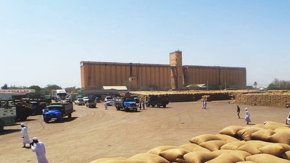 ارتفاع اسعار المحاصيل الزراعية بسوق القضارف