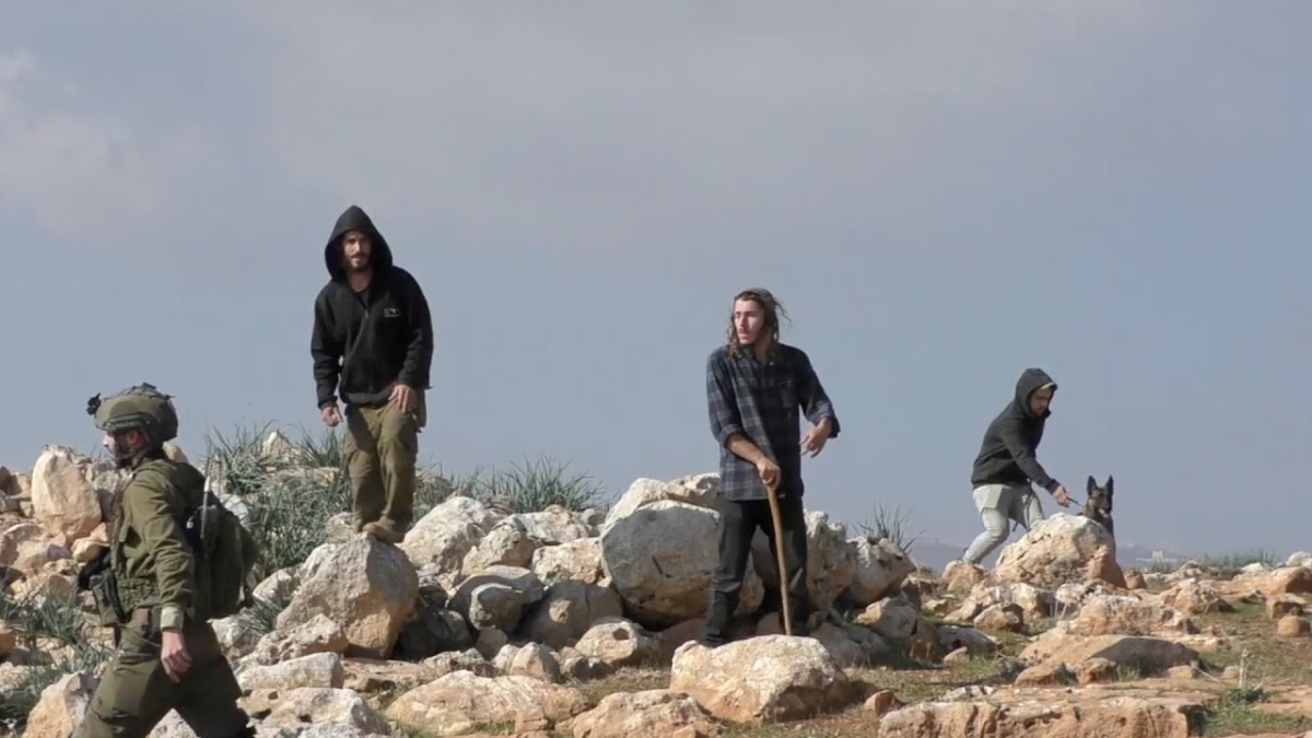 مستوطنون يهاجمون مركبات الفلسطينيين شمال شرق القدس