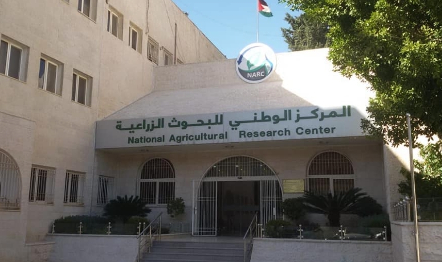 “الوطني للبحوث الزراعية” يطلق حاضنة الابتكار وريادة الأعمال الزراعية بمحطة “مرو”