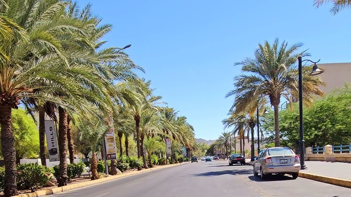 العقبة: ورشة تدريبية في تشكيل الفيمو لطلبة مدرسة الأمل