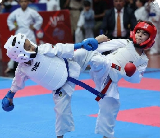 اختتام بطولة العلم للكراتيه