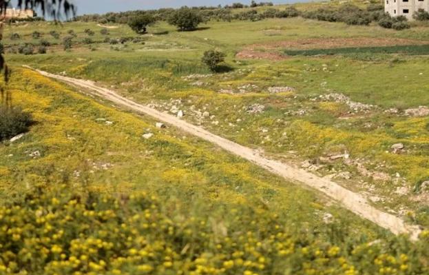 إليكم تفاصيل حالة الطقس في الاردن الخميس