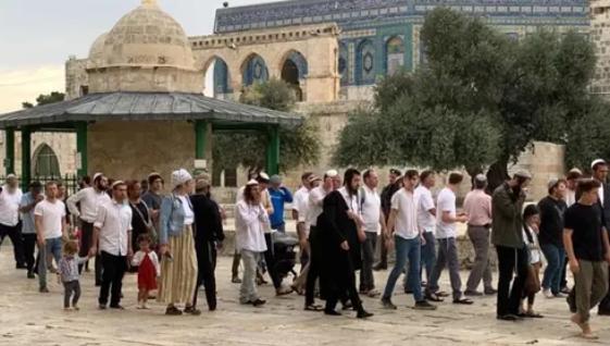 تحذيرات من أقسى الشهور على الأقصى في مايو المقبل