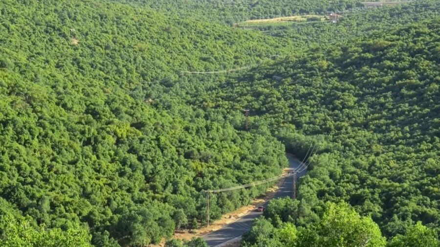 مسار “درب جدودنا”.. رحلة بين التاريخ والطبيعة في عجلون