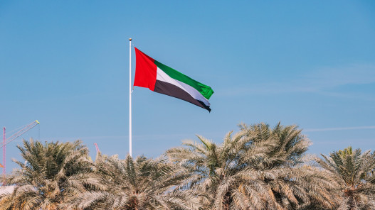 الإمارات: قرار الانسحاب من أوبك سيادي وليس موجها ضد أي جهة