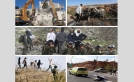 1637 اعتداء ينفذها الاحتلال ومستوطنوه بحق الفلسطينيين الشهر الماضي