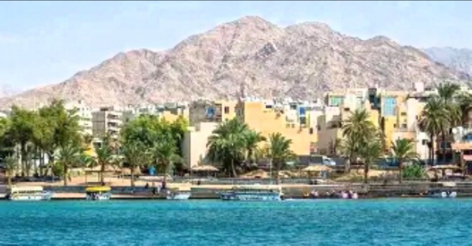 كريشان يكتب :العقبة.. بين منطق العرض والطلب وفخ الاستغلال الموسمى