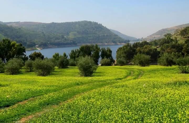 أجواء لطيفة ودافئة حتى نهاية الأسبوع